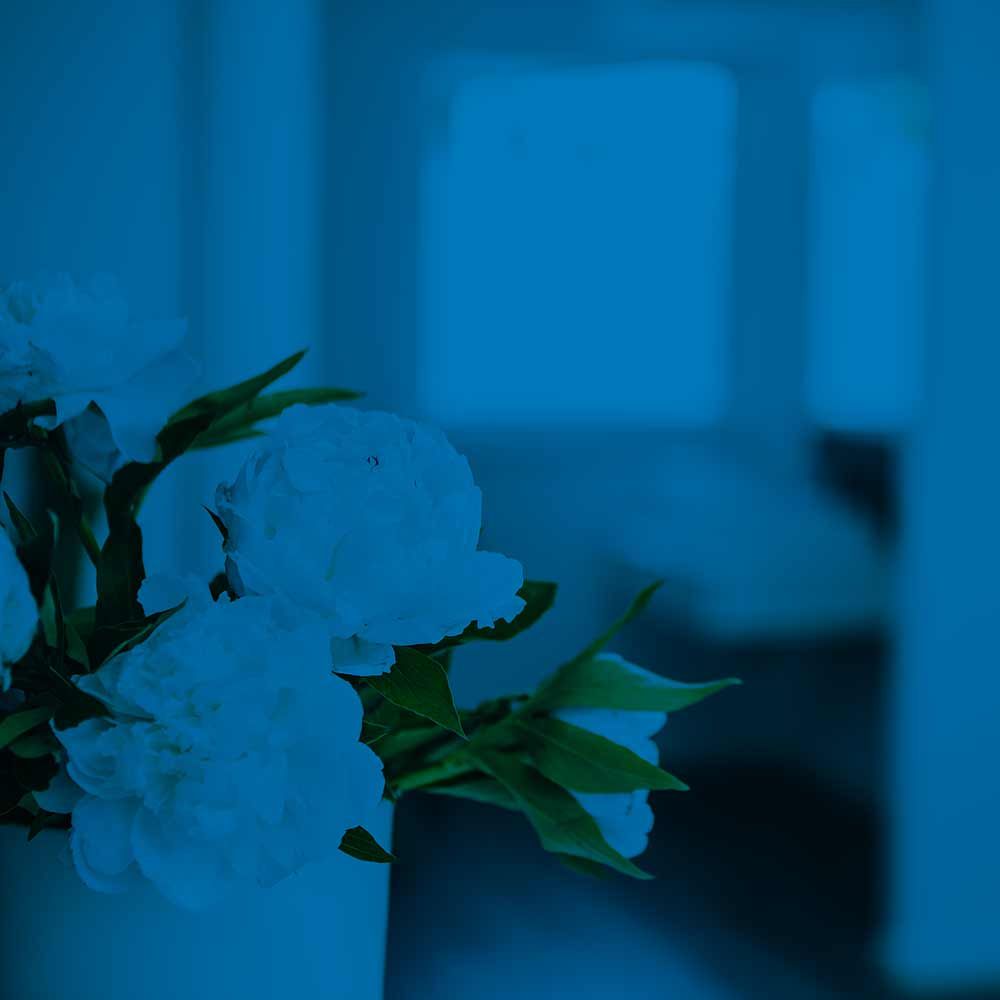 Bleaching und Zahnästhetik